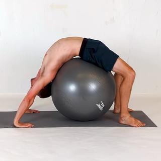 Ball bridge