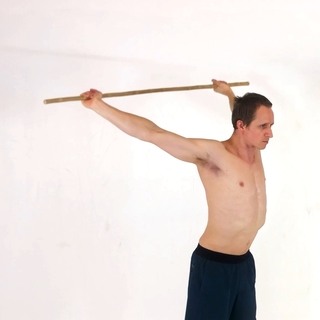Shoulder dislocates