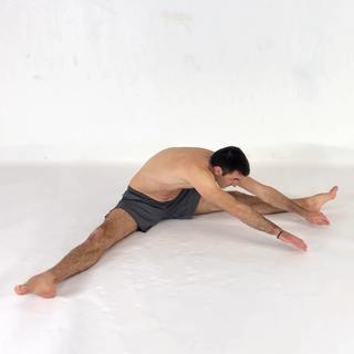 Sitting straddle walk