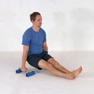 Supported dip shrugs