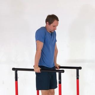 Dip shrugs