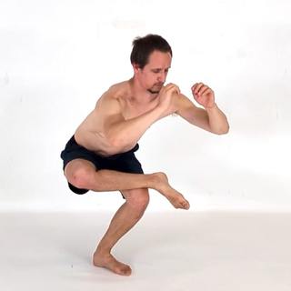 Pigeon squat