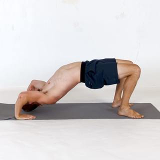 Bridge raise