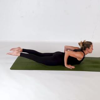 Supported locust pose