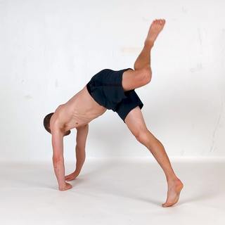 Scorpion