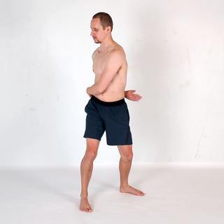 Trunk rotation arm swing