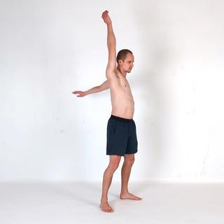 Arm flexion extension