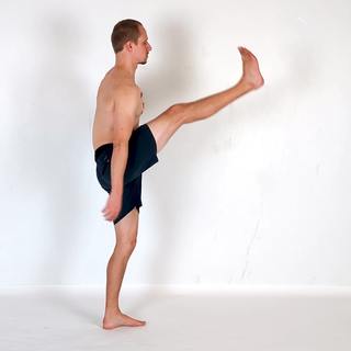 Assisted front leg swing