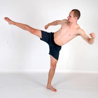 Roundhouse kick