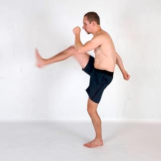 Front push kick
