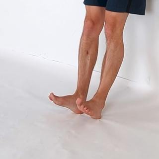 Tibialis raise