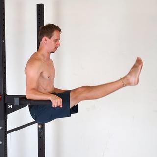 Forearm support leg raise