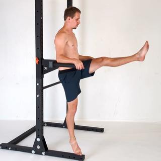 Forearm support one-leg raise