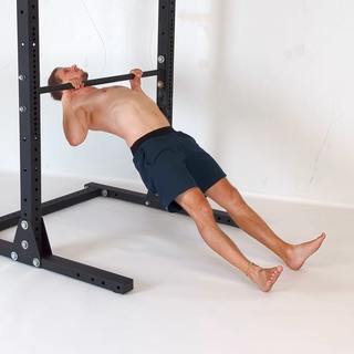 Pronated grip horizontal row