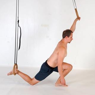 Assisted ring lunge