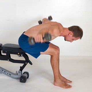 Seated bent-over dumbbell rear delt fly