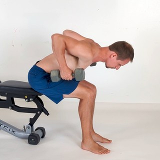 Seated bent-over dumbbell row