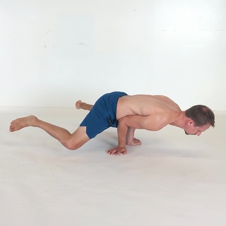 Frog elbow lever