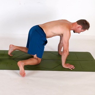 Quadruped hip internal rotation