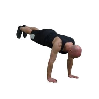 Wall plank