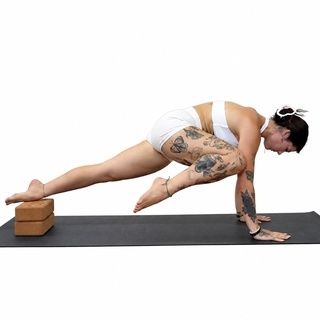 Elevated plank knee-to-tricep taps