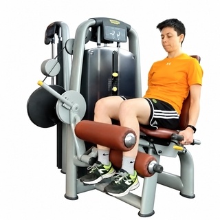 Seated leg curl