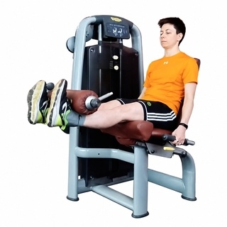 Leg extension