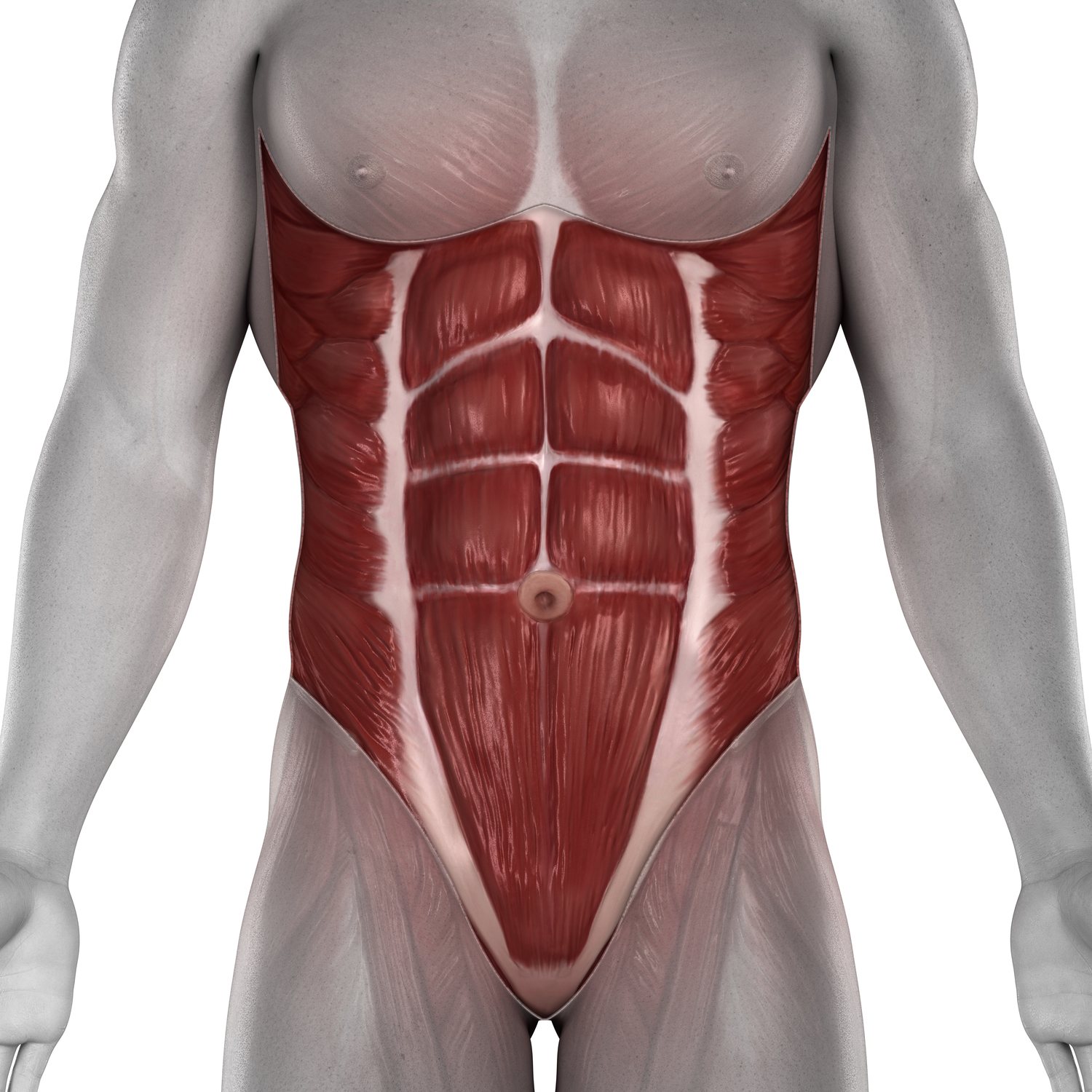 Abs
