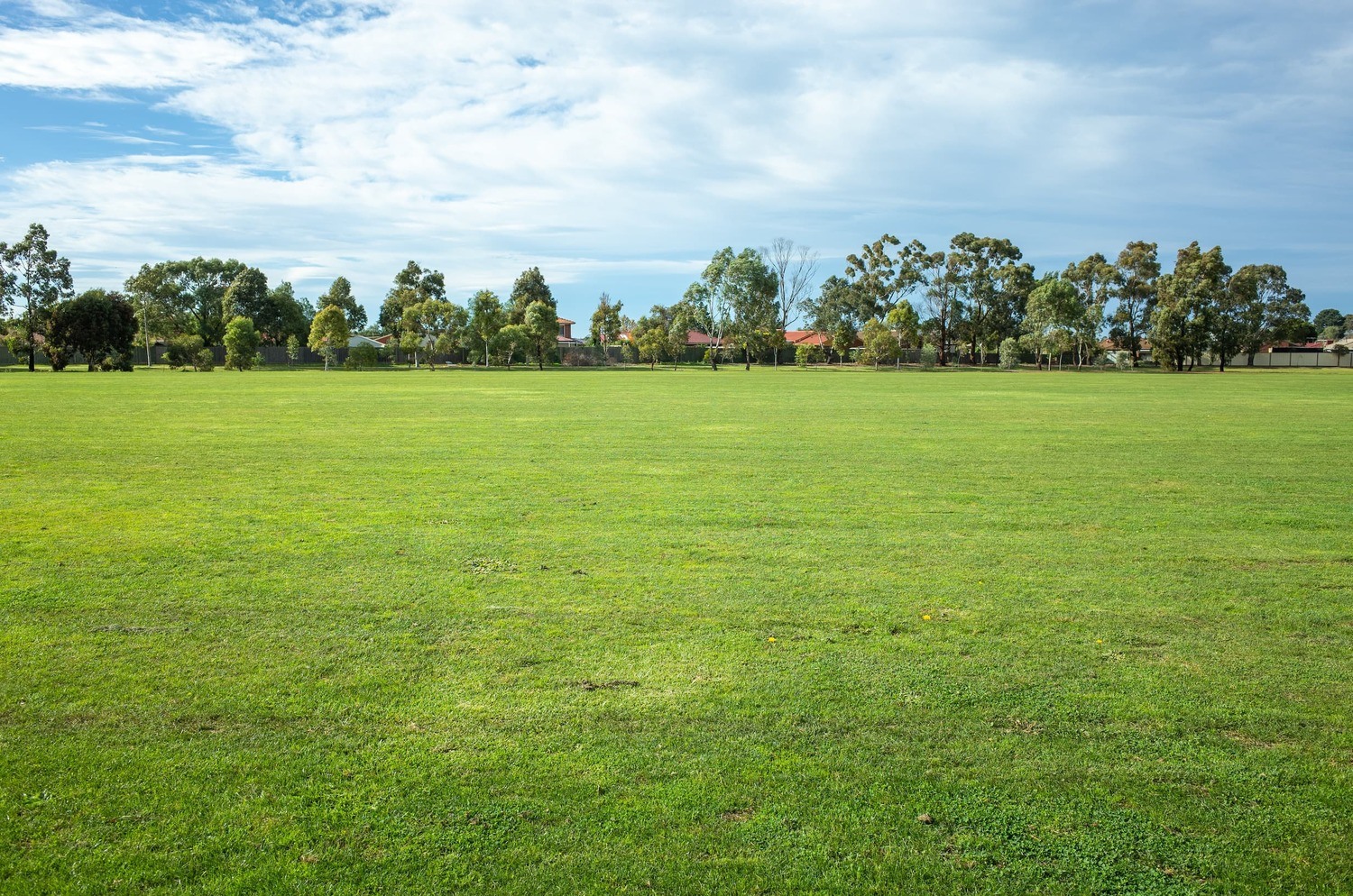 Large ground