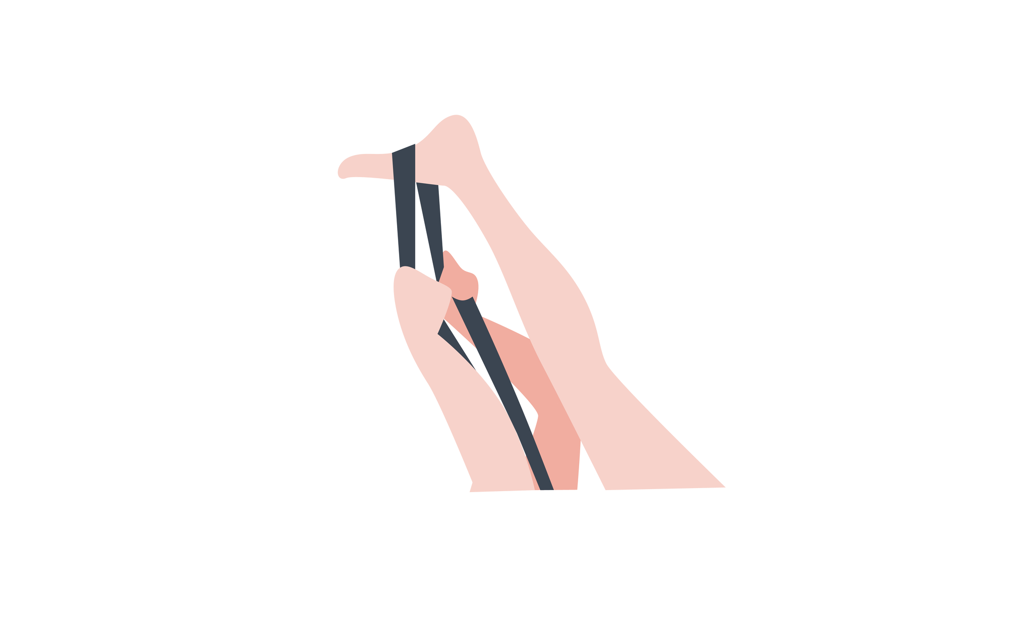 Strap