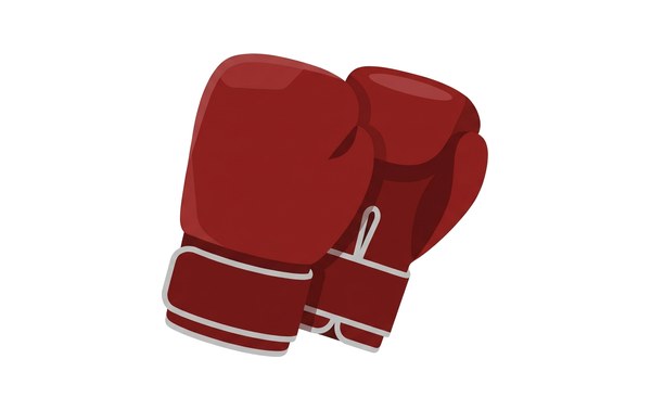 Boxing gloves