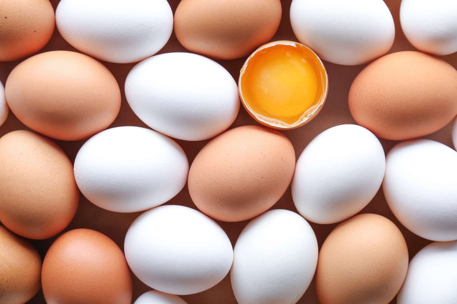 Farm Fresh Eggs