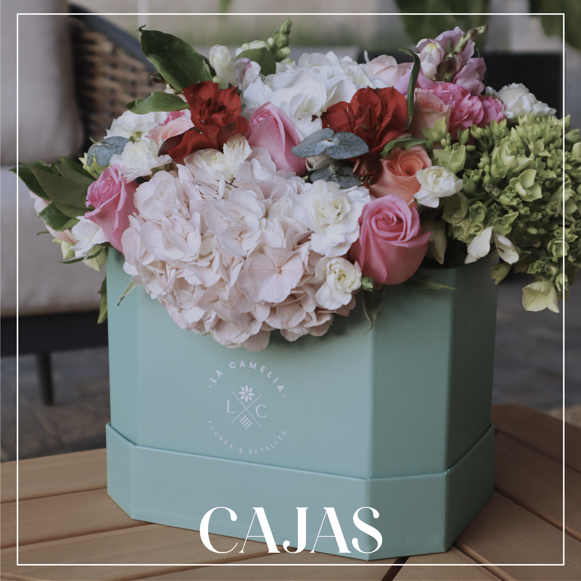 Cajas