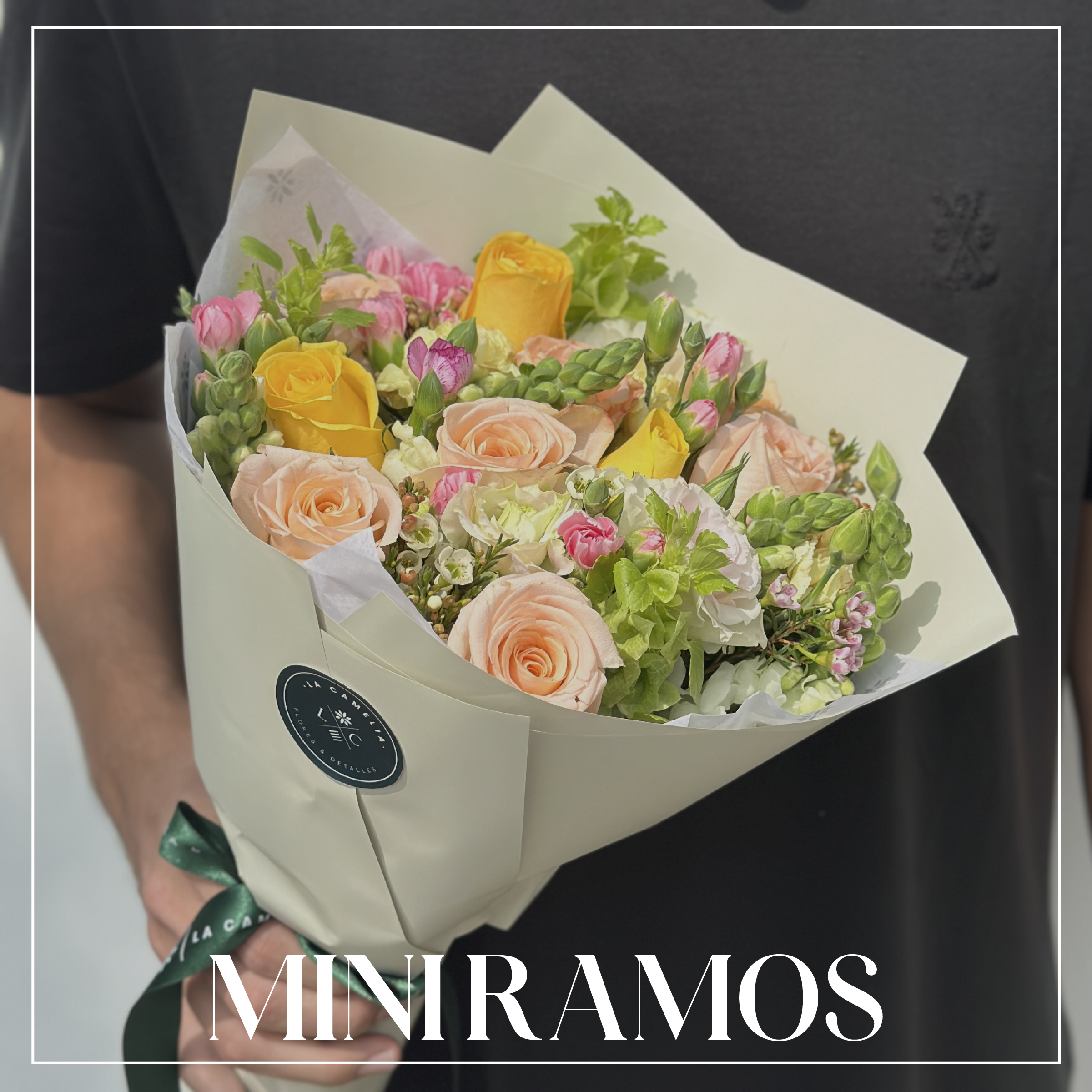 Mini Ramos