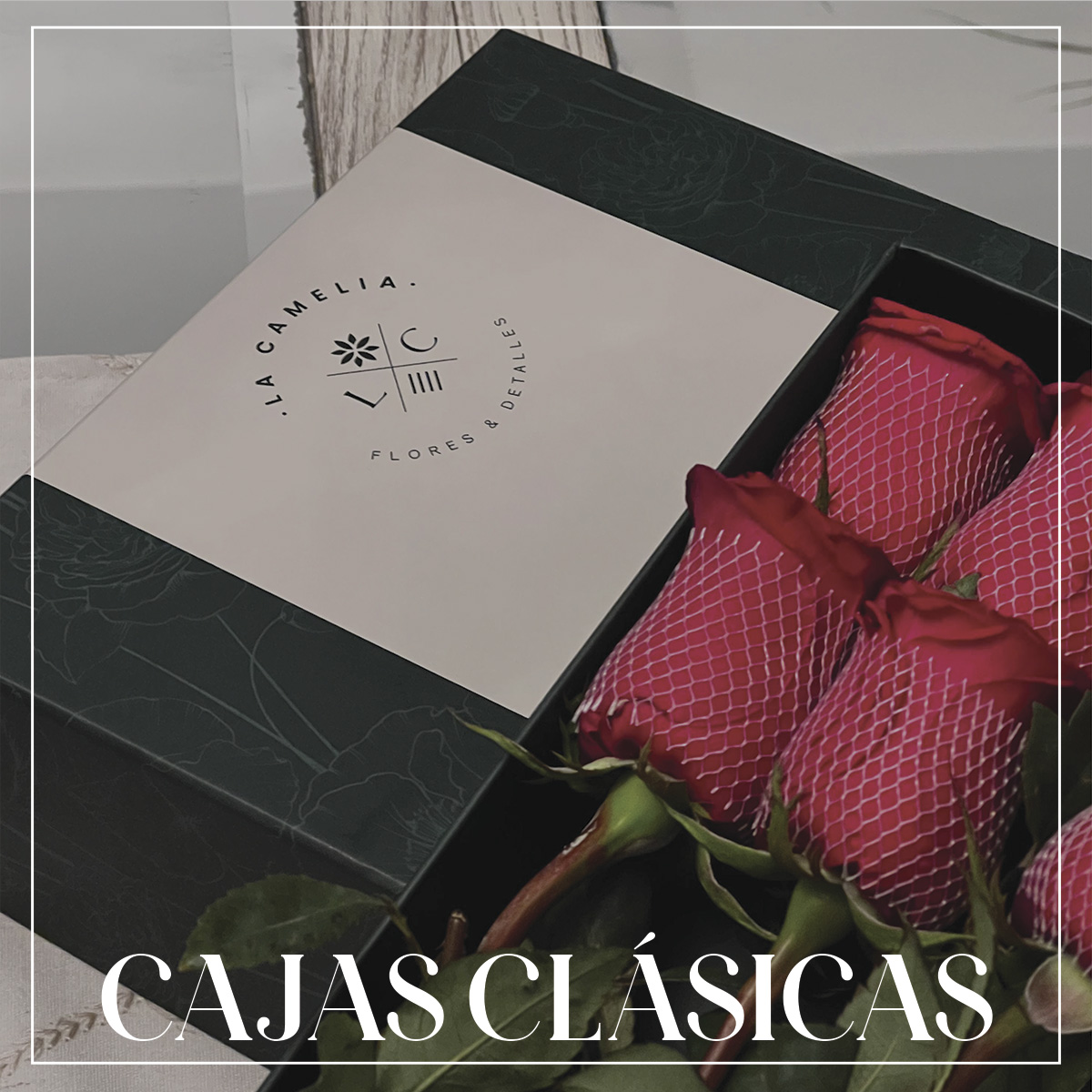 Cajas Clásicas