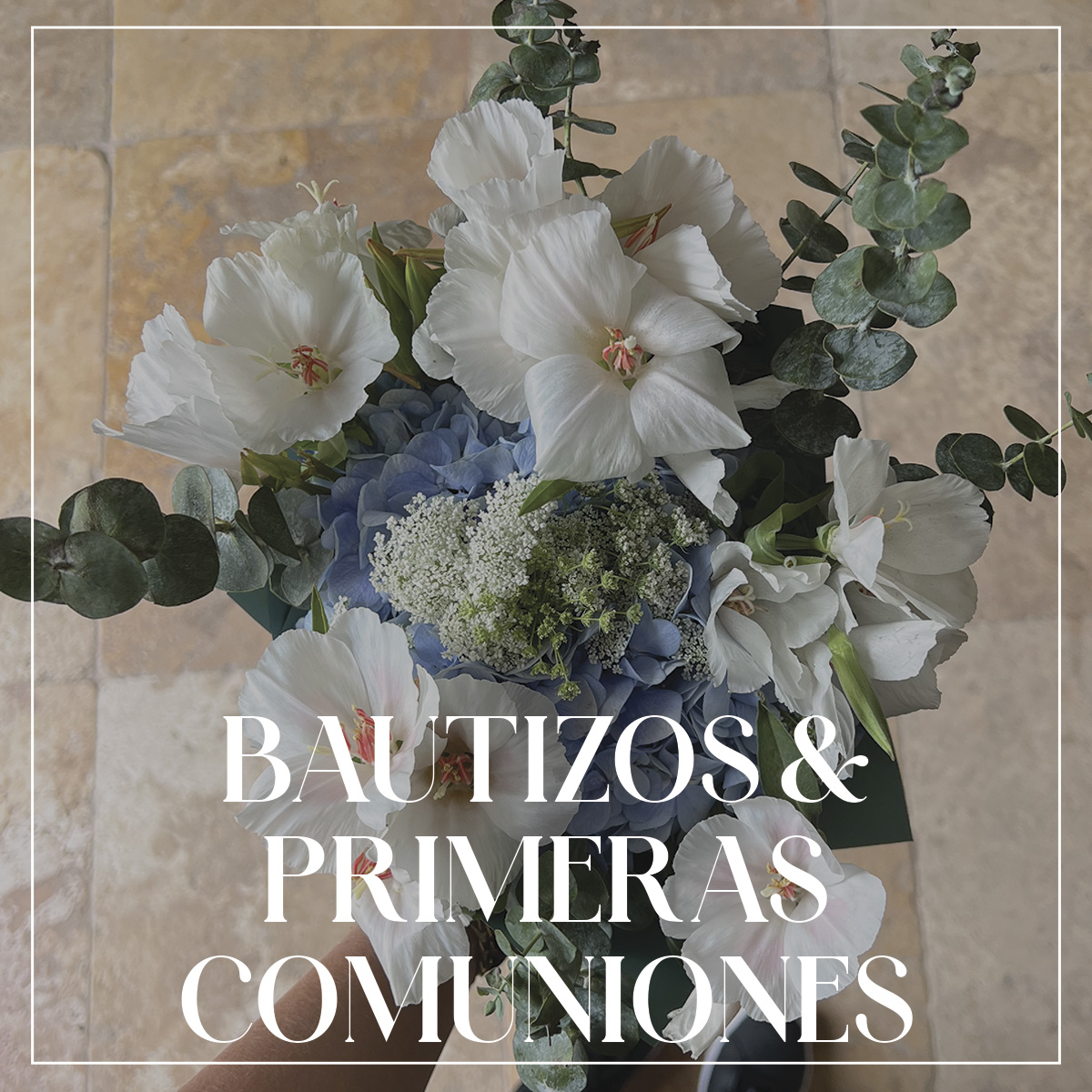 Bautizos y Primeras Comuniones