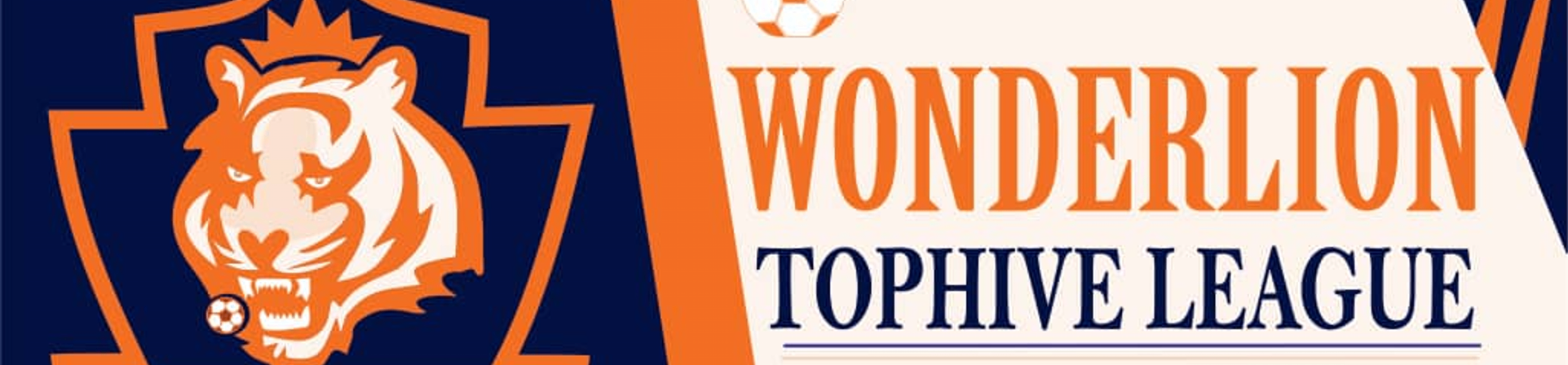 TOPHIVE LEAGUE banner