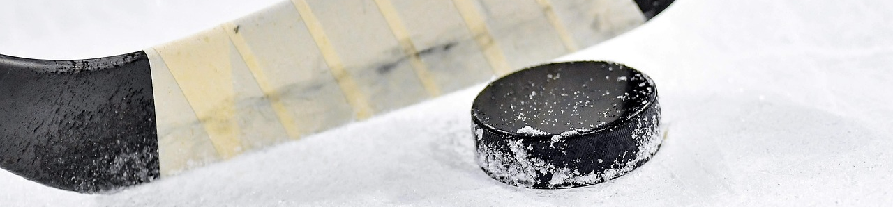 Hockeyy banner