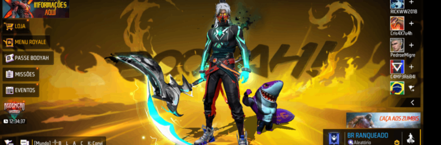Slv curte ae banner