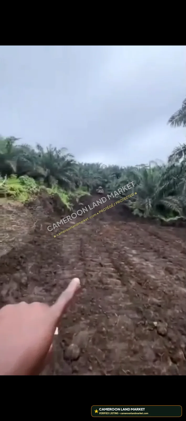 50 Plots of Land for Sale in Bukwai, Buea (400m²)