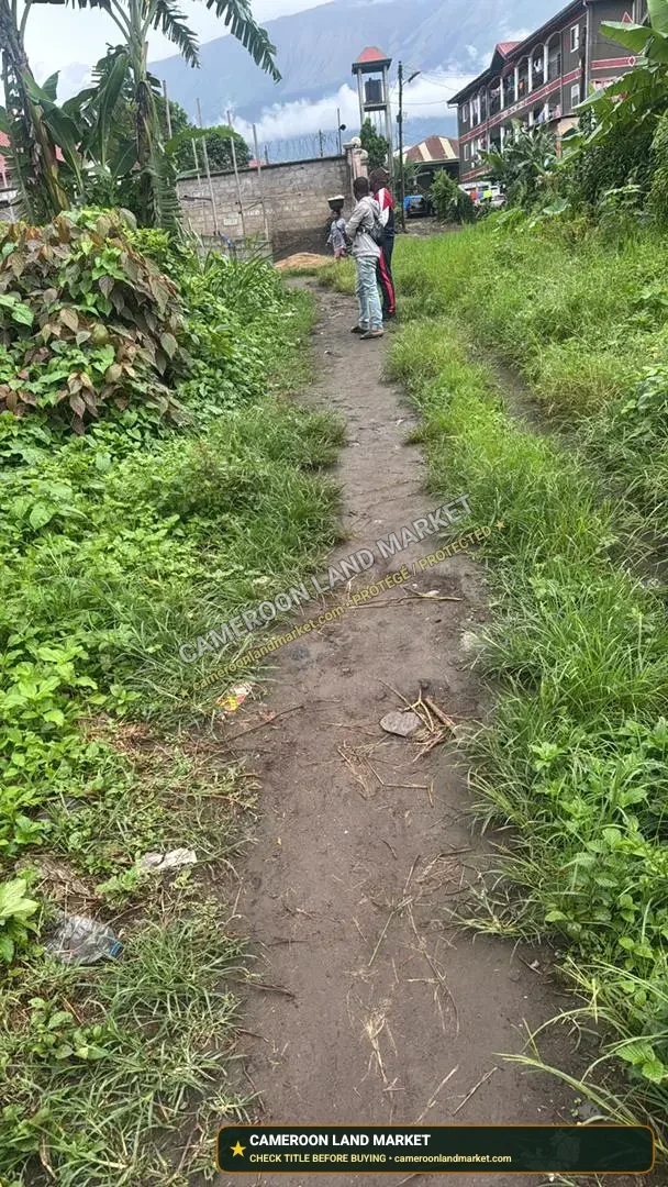 Terrain de 393 m² à vendre à Sandpit, Buea – Accès routier