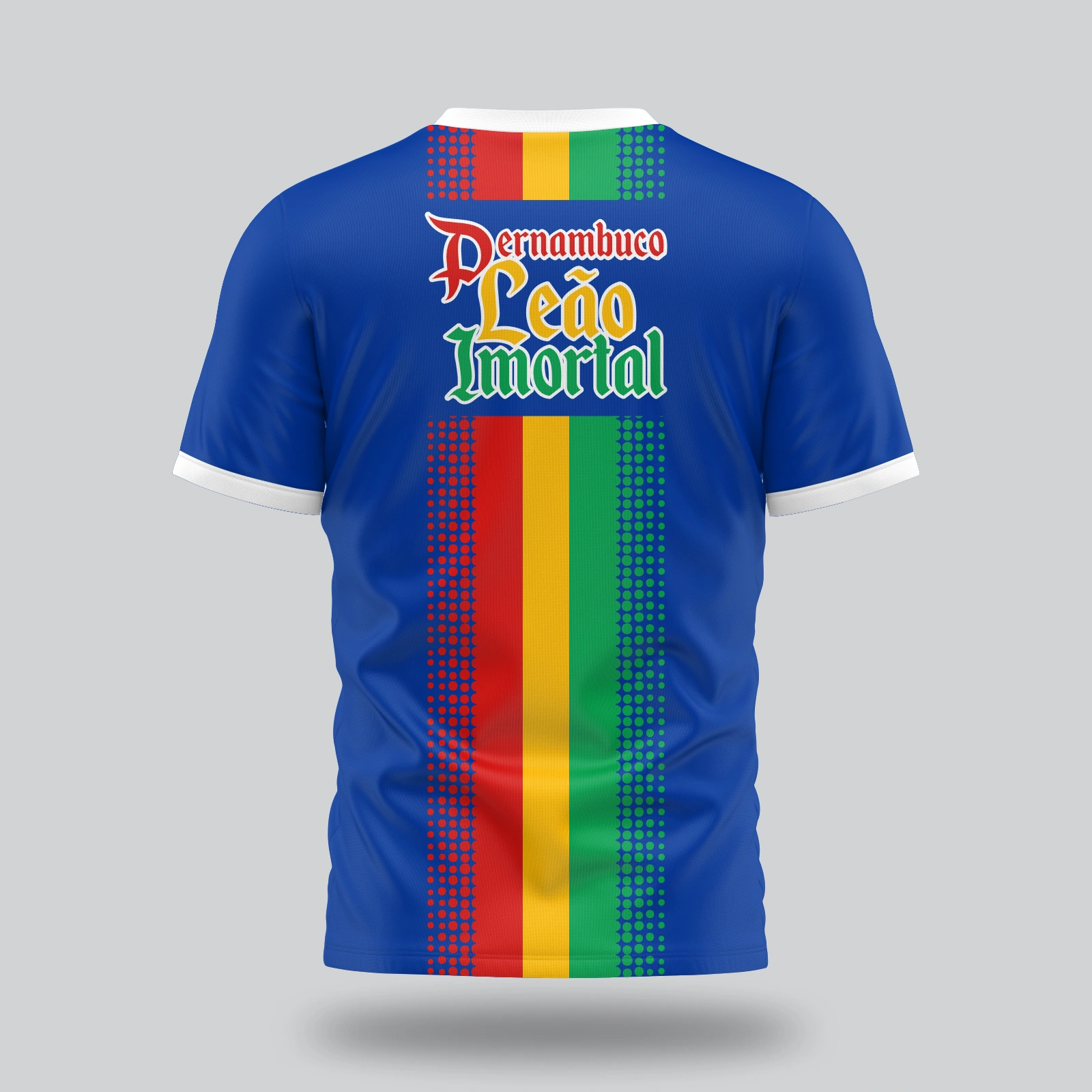 VETOR PREMIUM PERNAMBUCO PARA CAMISA - ARTE EDITÁVEL ESTAMPARIA — imagem 3
