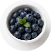 Bilberry Fruit Extract