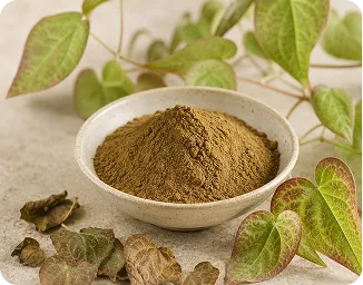 Epimedium Extract