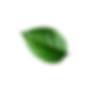 AlphaRock