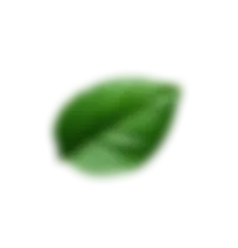 AlphaRock