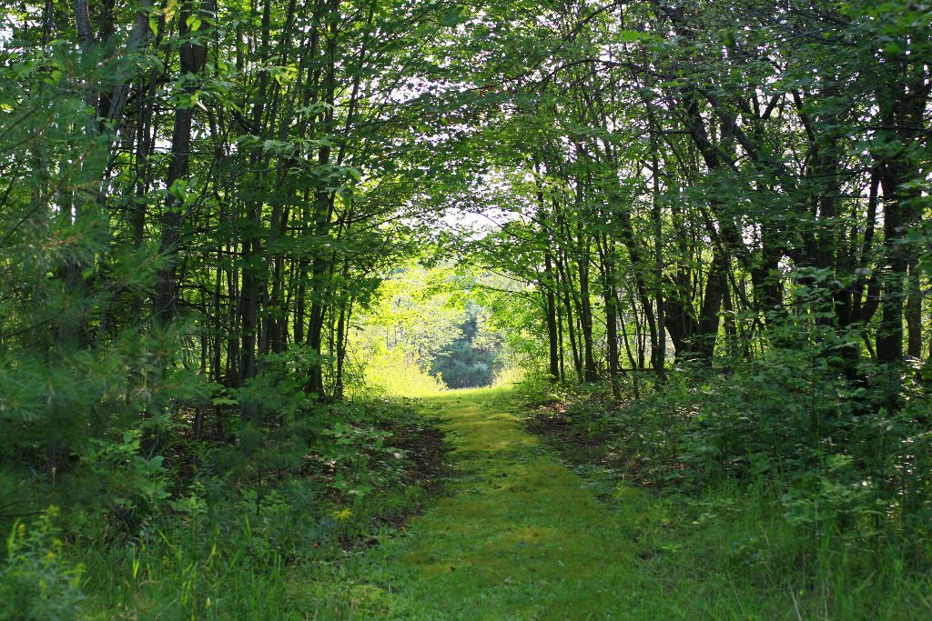 Yurta Glamping / Tent Camping 50 acres nature photo 4