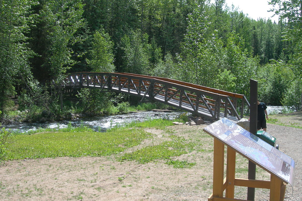 Driftwood canyon