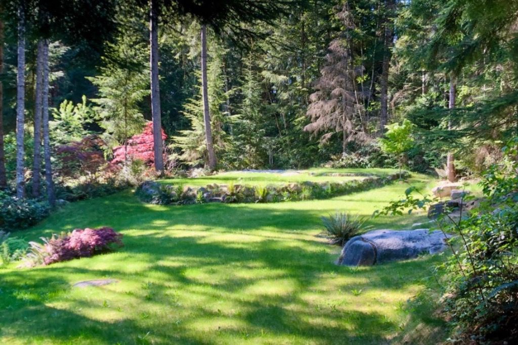 Forest Sanctuary photo 3