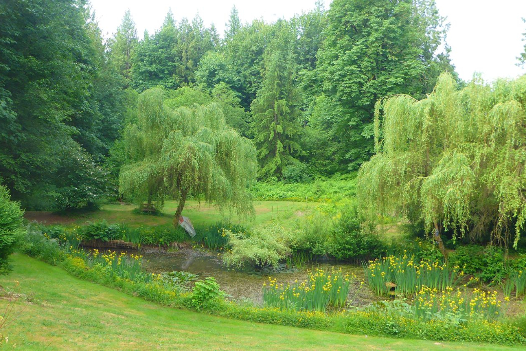 Forest Farm Retreat - Main photo